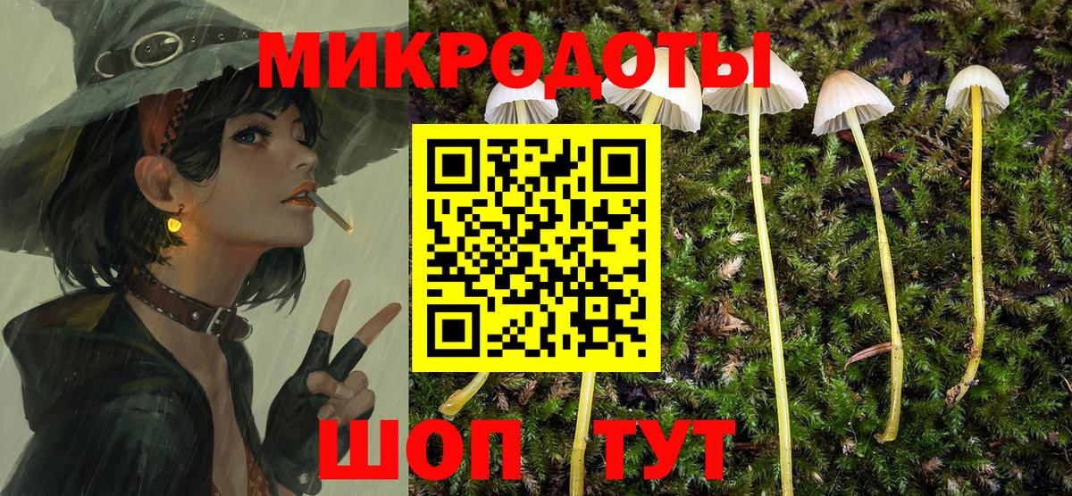 Псилоцибиновые грибы Psilocybe  Вход с VPN  Котельники 